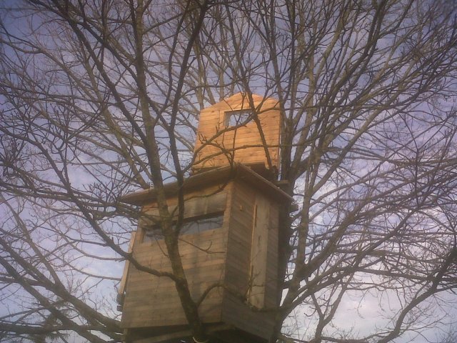 IMG00130-20130126-1636