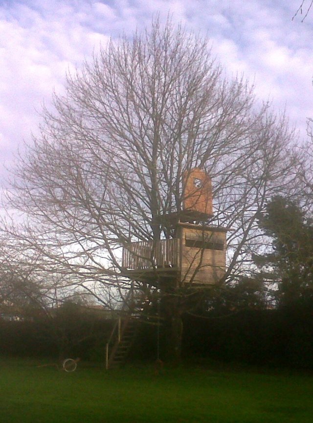 IMG00133-20130126-1637