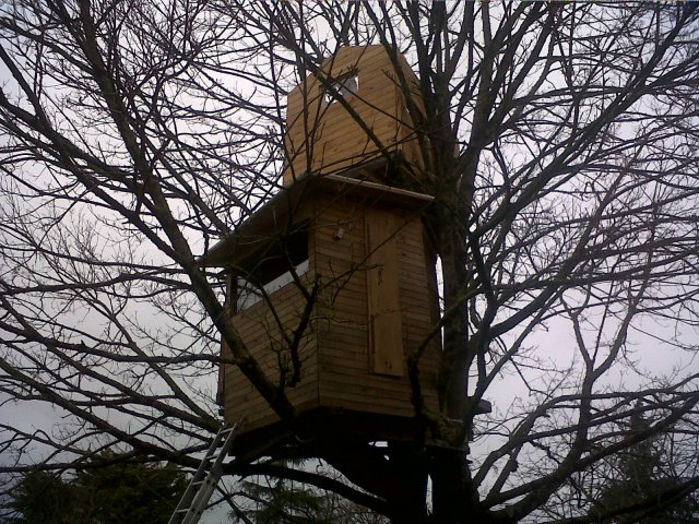 IMG00141-20130203-1653