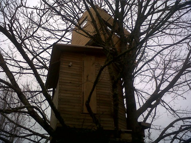 IMG00142-20130203-1654