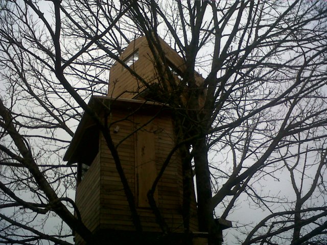 IMG00144-20130203-1747