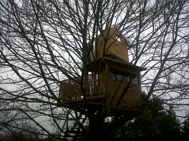 IMG00145-20130203-1747