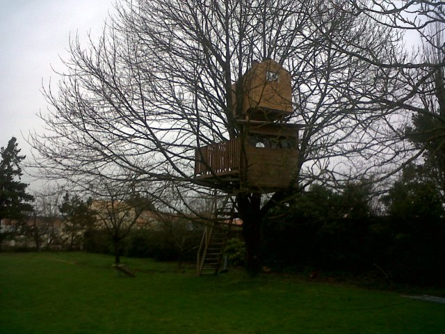 IMG00146-20130203-1748