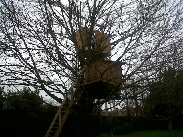 IMG00147-20130203-1748