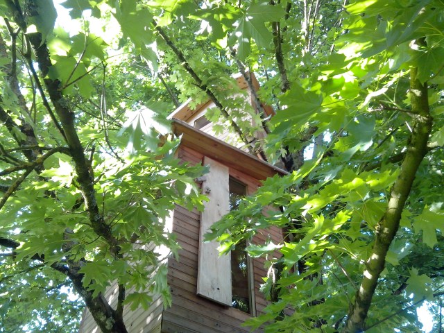 IMG_20130517_191328 - Copie