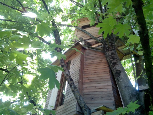 IMG_20130517_191336 - Copie