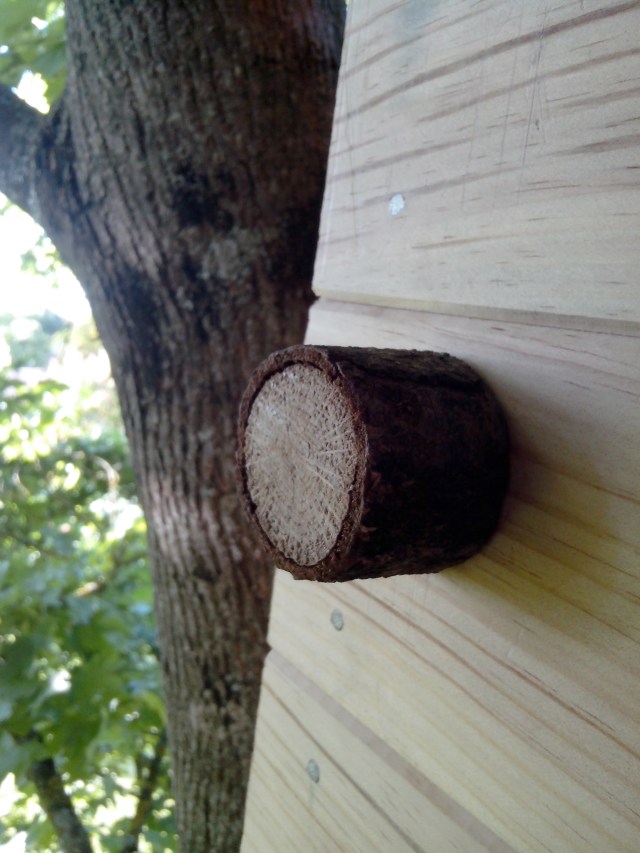 IMG_20130517_191447 - Copie